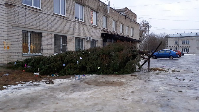 В Кинешме упала новогодняя елка фото 3