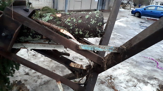 В Кинешме упала новогодняя елка фото 5