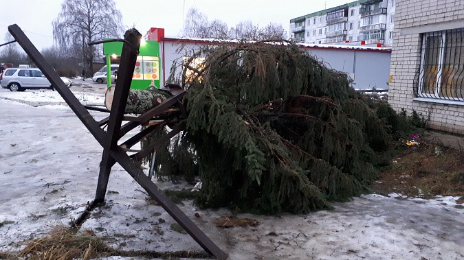 В Кинешме упала новогодняя елка фото 7