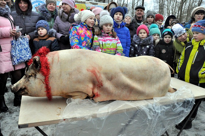 На Всероссийском фестивале валенка забитого поросенка украсили новогодней мишурой фото 15