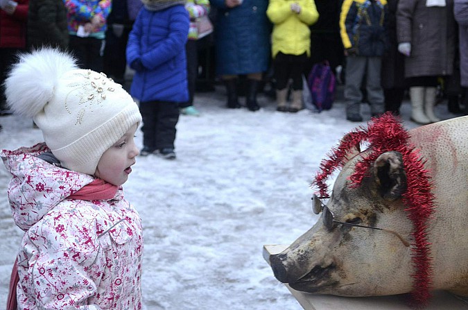 На Всероссийском фестивале валенка забитого поросенка украсили новогодней мишурой фото 18