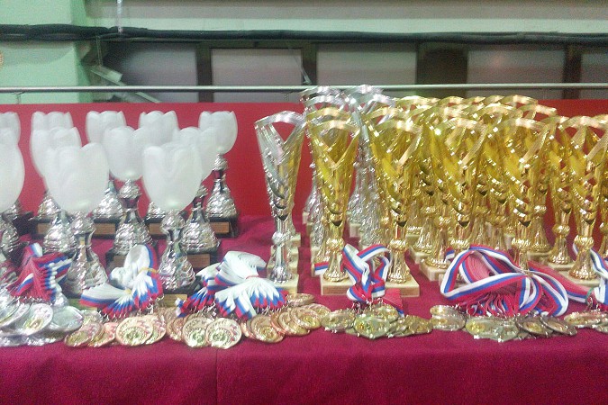 Кинешемский каратист стал победителем всероссийского турнира фото 2