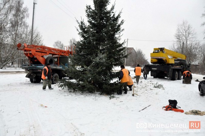 УГХ Кинешмы установило новогоднюю елку в микрорайоне «2-я Фабрика» фото 3