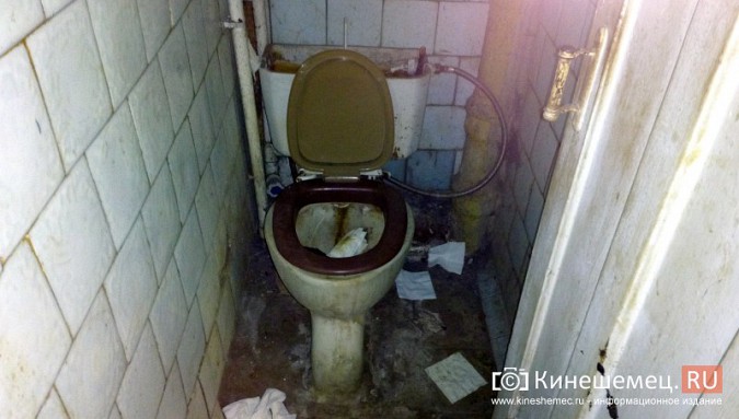 Жителей многоквартирного дома в Кинешме терроризирует бездомный фото 14