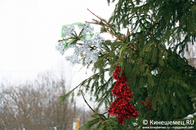 В Кинешме вандалы «раздели» новогоднюю елку фото 3