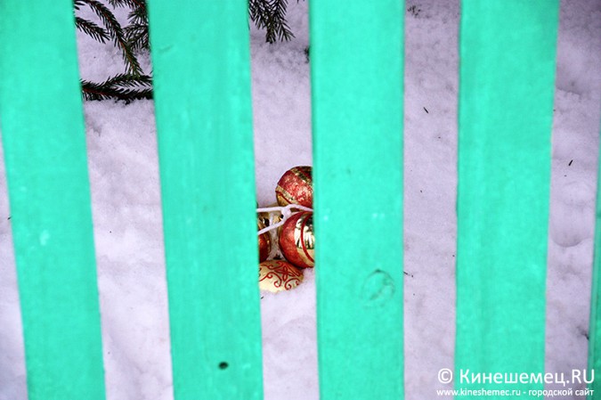 В Кинешме вандалы «раздели» новогоднюю елку фото 4