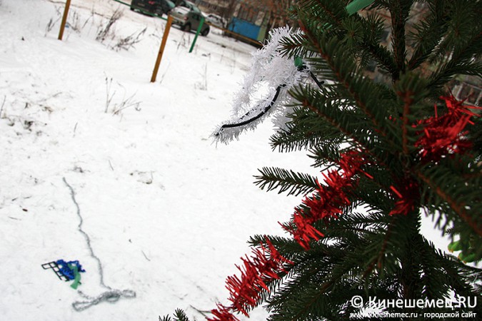 В Кинешме вандалы «раздели» новогоднюю елку фото 6