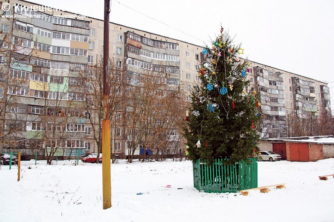 В Кинешме вандалы «раздели» новогоднюю елку фото 7