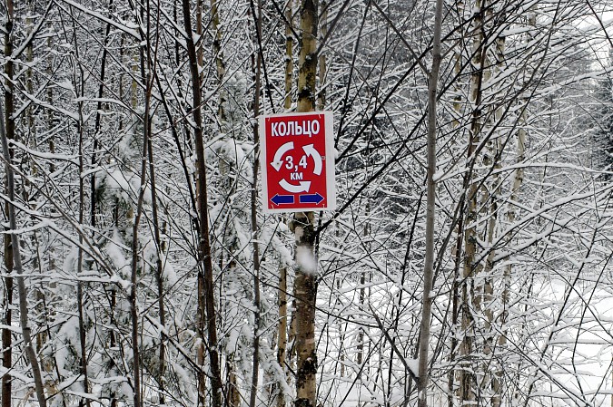 «Лыжня чудес» вновь приглашает кинешемцев фото 11