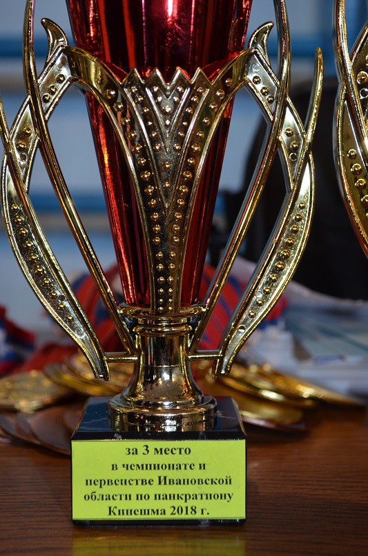 В Кинешме завершился чемпионат области по панкратиону фото 6