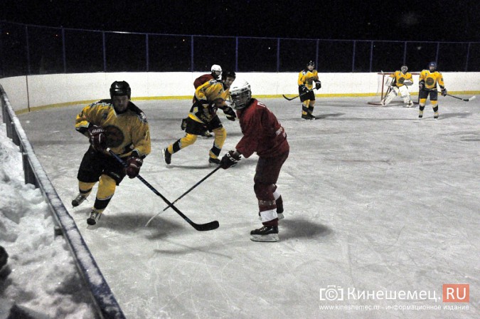 Хоккейный матч в Кинешме завершился вызовом скорой помощи фото 27