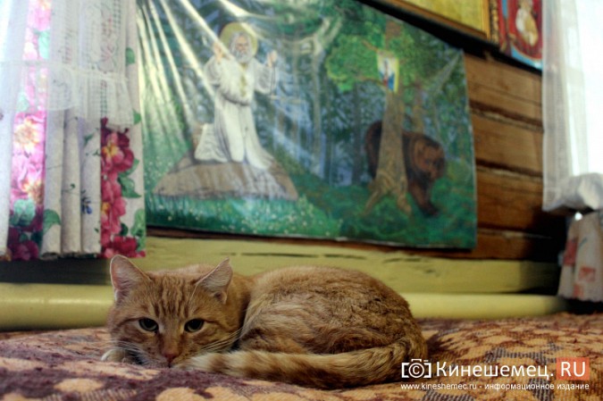 Кинешемка продает вышитые иконы, чтобы «поднять» дом фото 12