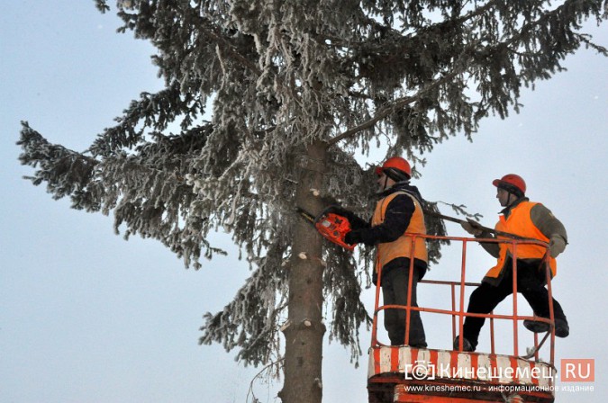 Коммунальщики Кинешмы произвели демонтаж главных новогодних елок фото 5