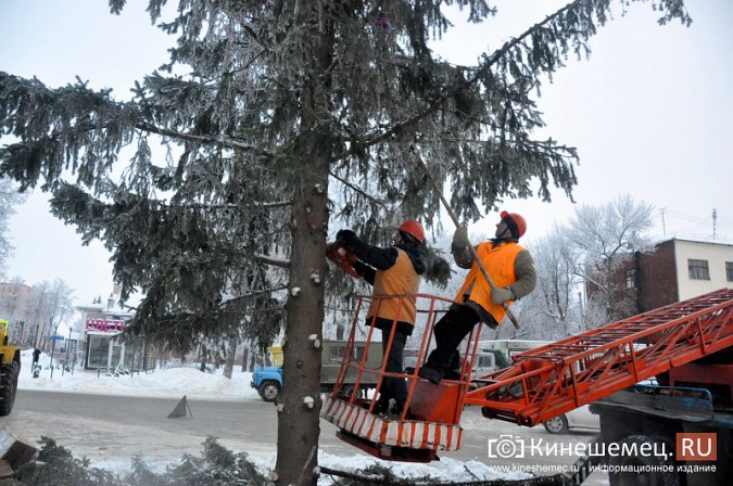 Коммунальщики Кинешмы произвели демонтаж главных новогодних елок фото 2