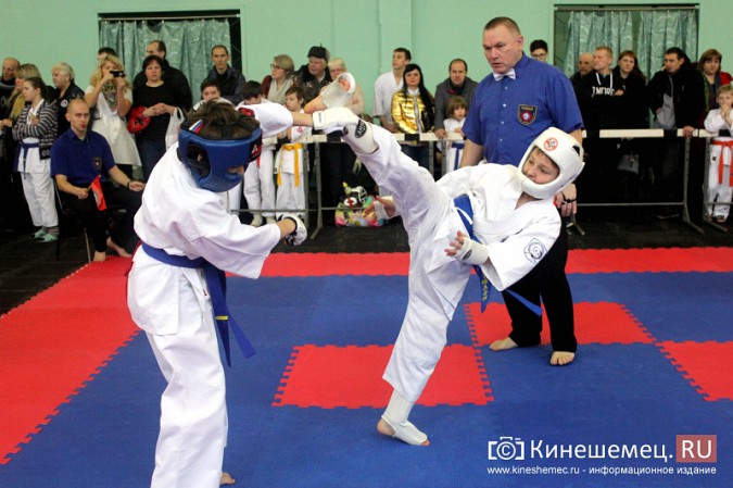 Открытое Первенство и Чемпионат Кинешмы по карате собрали бойцов из 3 областей фото 37