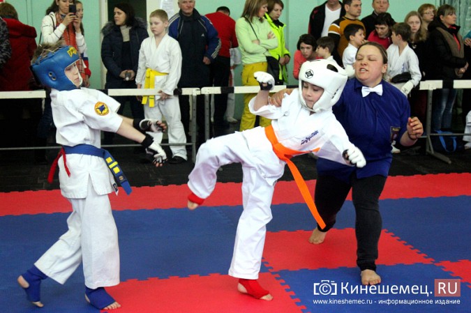 Открытое Первенство и Чемпионат Кинешмы по карате собрали бойцов из 3 областей фото 29