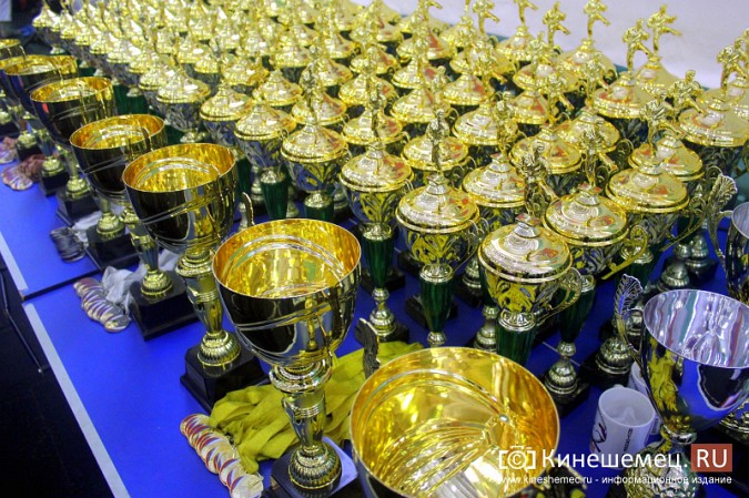 Открытое Первенство и Чемпионат Кинешмы по карате собрали бойцов из 3 областей фото 14