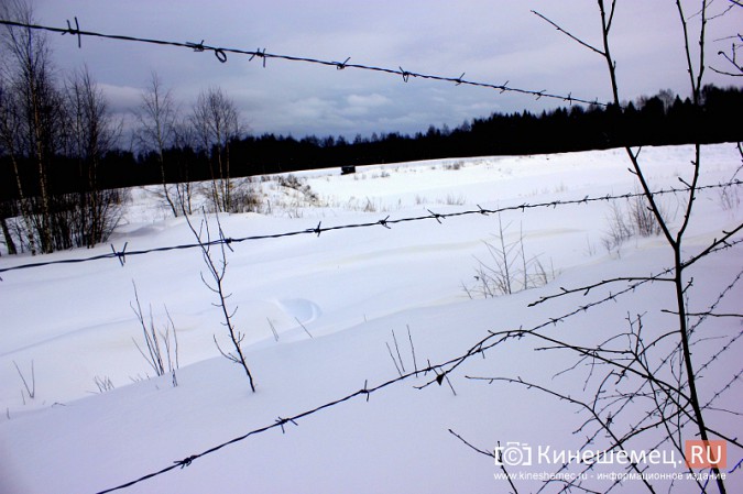 За сутки до обсуждений активисты побывали на месте возможного могильника химотходов в Заволжске фото 16