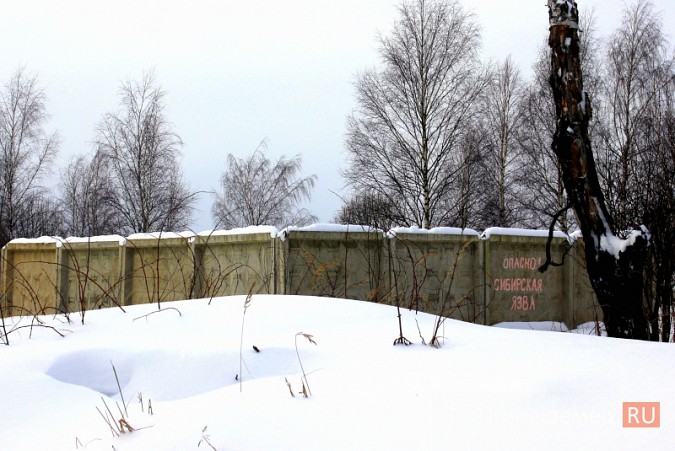 За сутки до обсуждений активисты побывали на месте возможного могильника химотходов в Заволжске фото 10