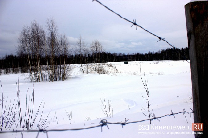 За сутки до обсуждений активисты побывали на месте возможного могильника химотходов в Заволжске фото 13