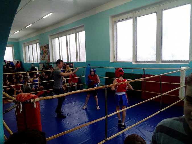 Кинешемские боксеры завоевали 25 медалей фото 2