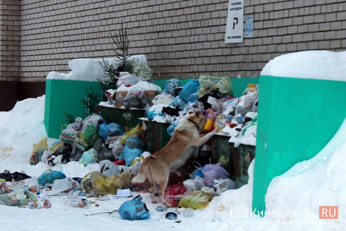 Снег парализовал вывоз мусора в Кинешме фото 5