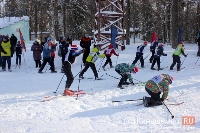 В спорткомитете Кинешмы не смогли назвать точное число участников «Лыжни России» фото 97