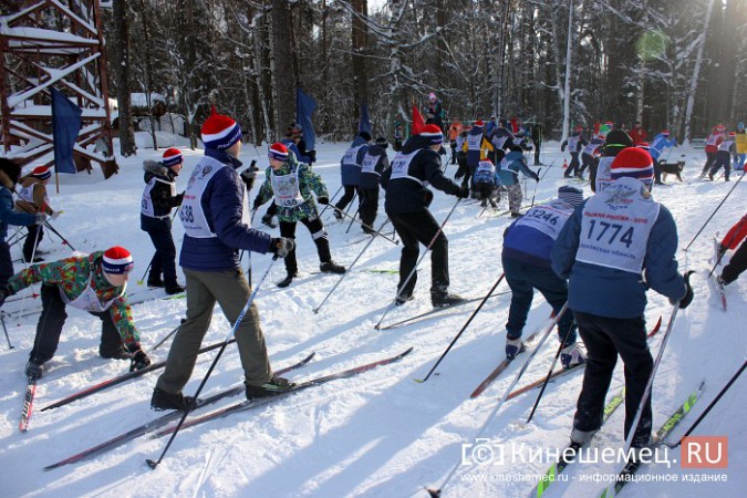 В спорткомитете Кинешмы не смогли назвать точное число участников «Лыжни России» фото 95