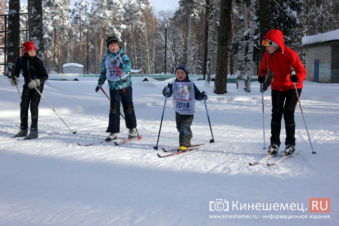 В спорткомитете Кинешмы не смогли назвать точное число участников «Лыжни России» фото 70