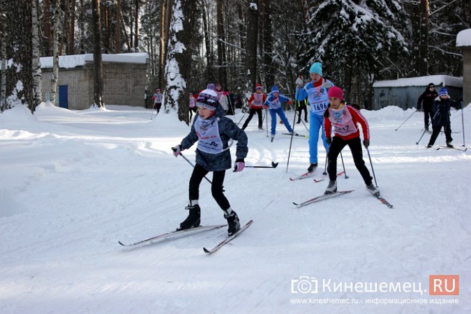 В спорткомитете Кинешмы не смогли назвать точное число участников «Лыжни России» фото 65
