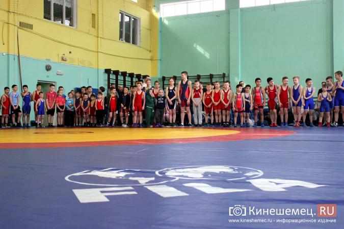 Кинешемские борцы блистательно выступили на домашнем межрегиональном турнире фото 11