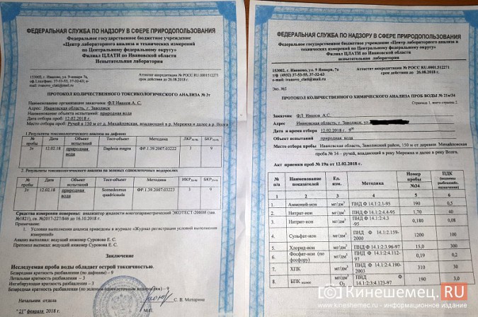 Жители Заволжска просят Владимира Жириновского вынести проблему могильника на федеральный уровень фото 7