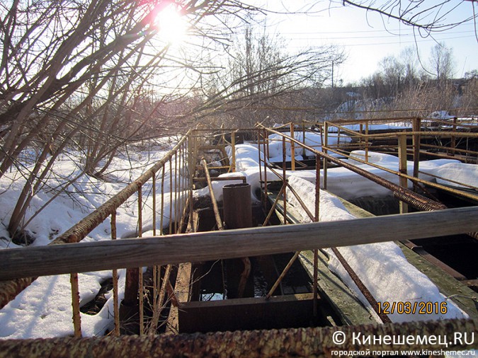 Кинешма на грани экологической катастрофы фото 3