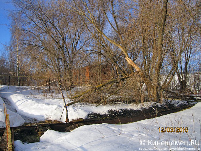 Кинешма на грани экологической катастрофы фото 11
