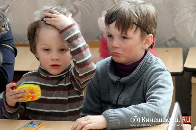 В Кинешме отметили День кошек фото 17