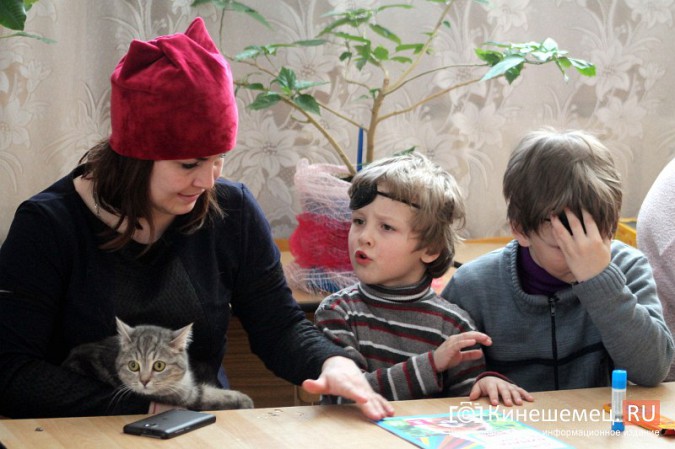 В Кинешме отметили День кошек фото 8