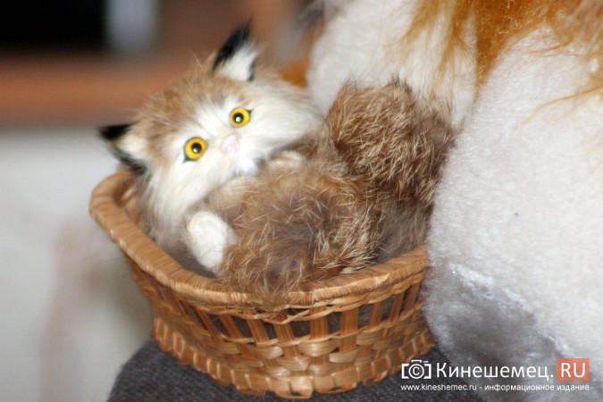 В Кинешме отметили День кошек фото 30