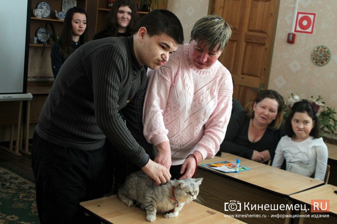 В Кинешме отметили День кошек фото 14