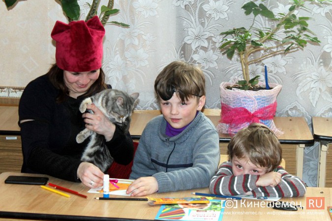 В Кинешме отметили День кошек фото 34