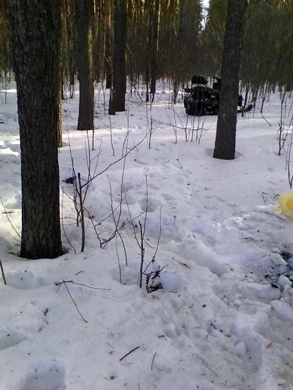Погибший в Ивановской области водитель снегохода был в лесу на пикнике фото 2