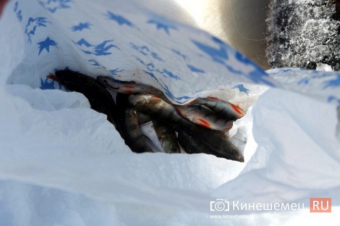 Нижегородцы приняли участие в рыбной ловле на мормышку в Кинешме фото 6