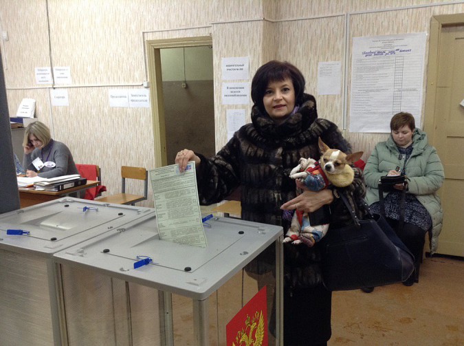 Кинешма выбирает президента России: онлайн - трансляция фото 18