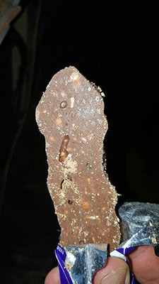 «Пикник» с «трупиками» червей обнаружен в Кинешме фото 3