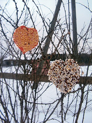 Кормят пожарные, кормит полиция, кормят пернатых простые врачи фото 4