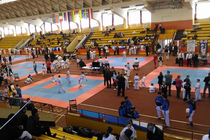 Кинешемский каратист завоевал серебро на кубке Европы фото 4