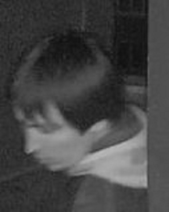 Следственный комитет обещает 3 миллиона рублей за информацию о серийном убийце фото 2