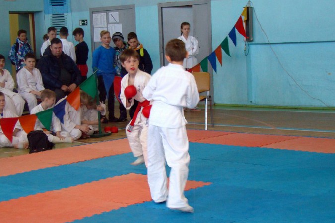В Кинешме состязались каратисты фото 11