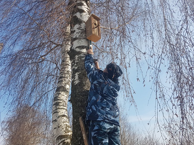 Сотрудники следственного изолятора Кинешмы развесили скворечники фото 3