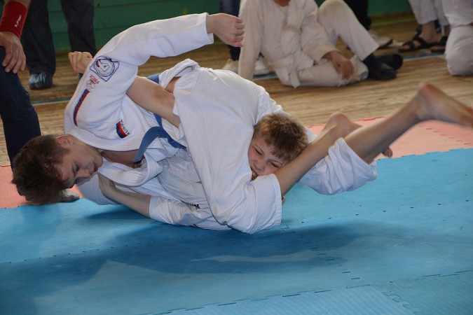 В Кинешме прошли соревнования по панкратиону памяти погибших сотрудников милиции фото 3