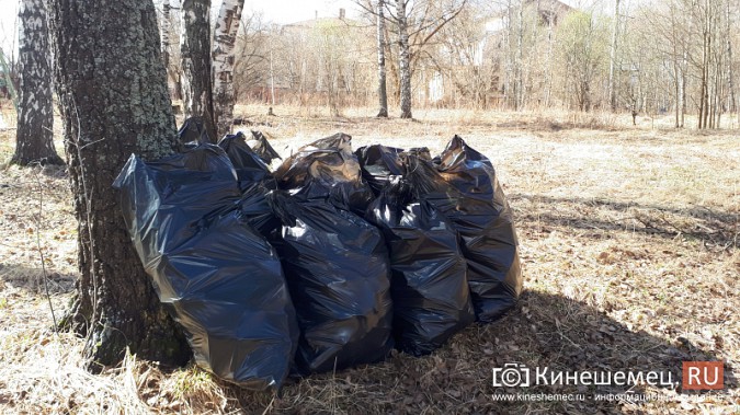 Кинешемская молодежь прибралась возле «Нардома» фото 8